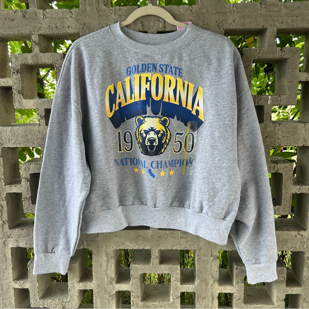 Modern Lux Gray Sweatshirt